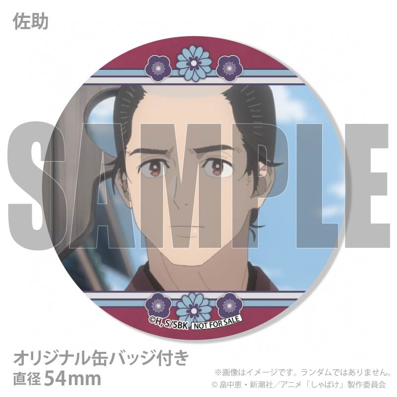 �ۥ磻�ȥǡ��ץ�ޥ�����6�ĥ��å�2026�ʰ���Ϻ���εȡ������ˡ���ŵ�̥Хå��դ���[����Ф�]