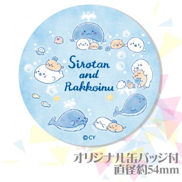 �ڼ̿���å���������ۥץꥱ��������������(B)�ˡ���ŵ�̥Хå��դ���[��������]