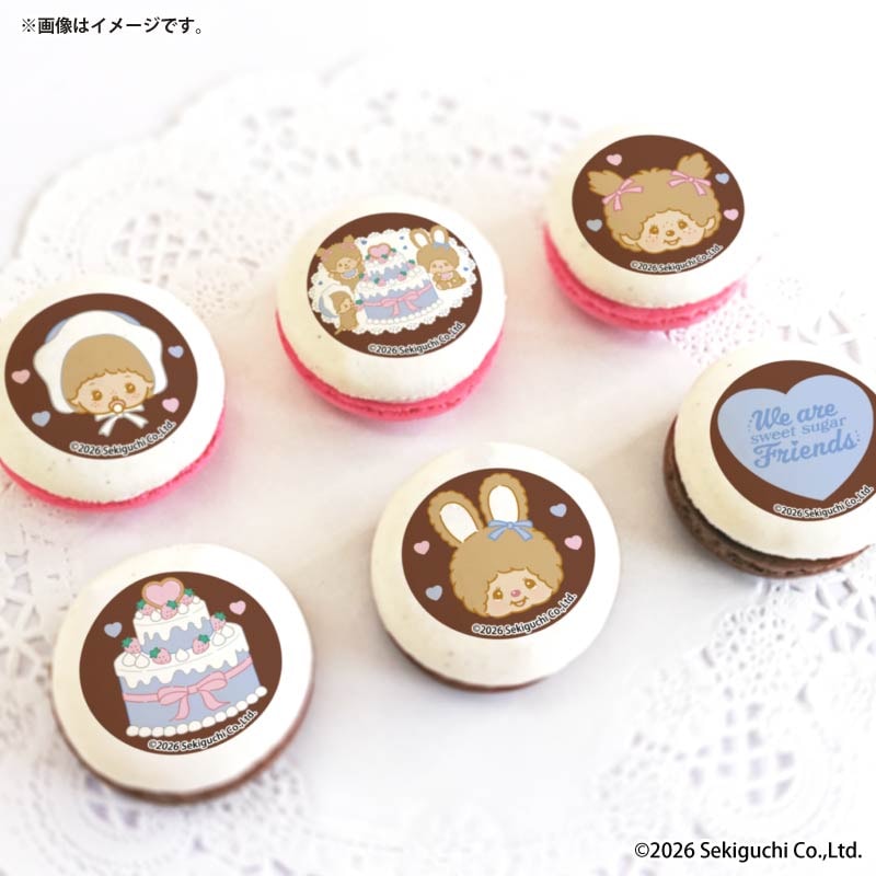 �ۥ磻�ȥǡ��ץ�ޥ�����6�ĥ��å�2026�ʥ��饹�ȡˡ���ŵ�̥Хå��դ���[�����å�]