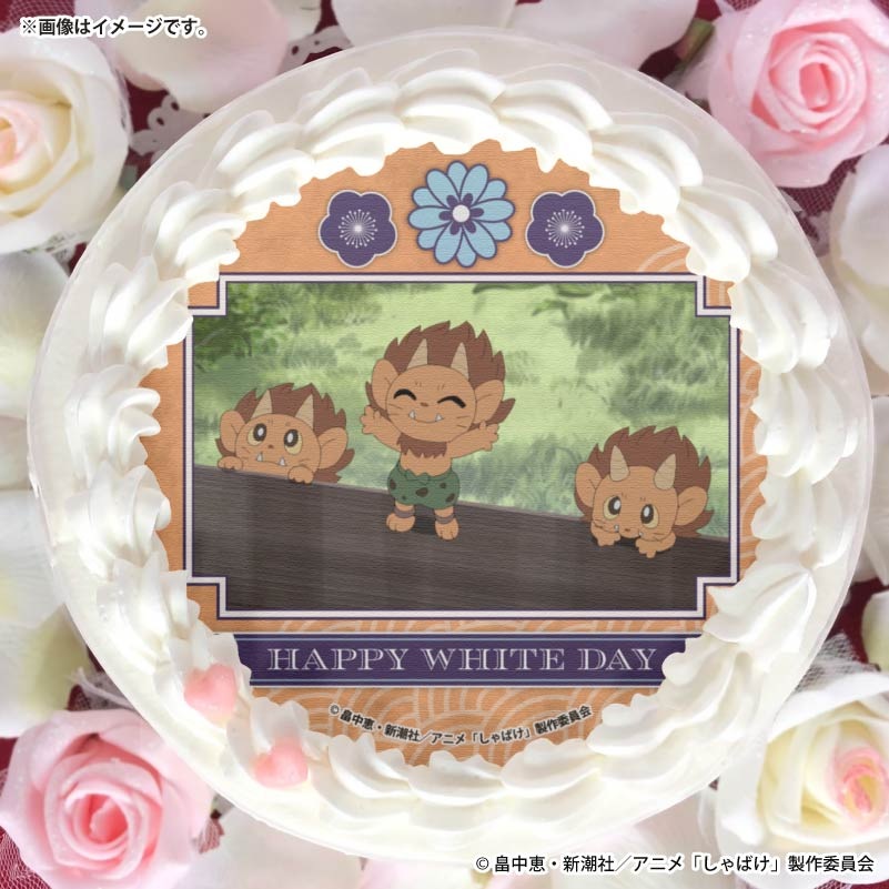 �ۥ磻�ȥǡ��ץꥱ����2026���Ĳȡˡ���ŵ�̥Хå��դ���[����Ф�]
