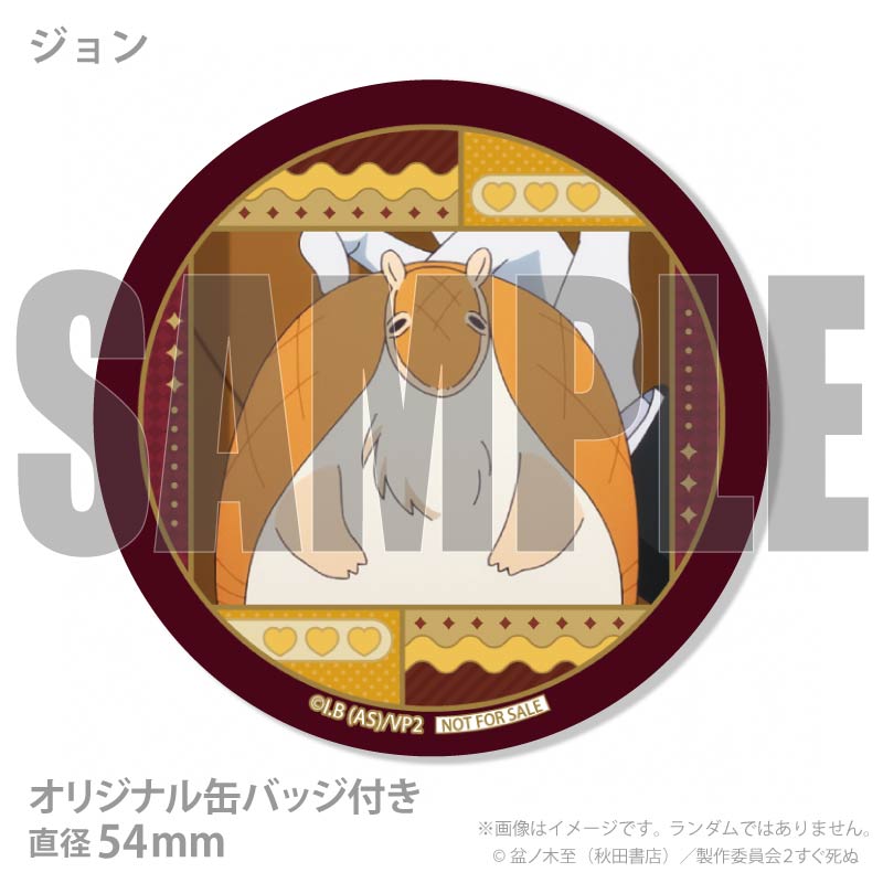 �Х�󥿥���ץ�ޥ�����6�ĥ��å�2026�ʥ��ʥ�ɡ��ɥ�륯�������ˡ���ŵ�̥Хå��դ���[�۷쵴������� 2]