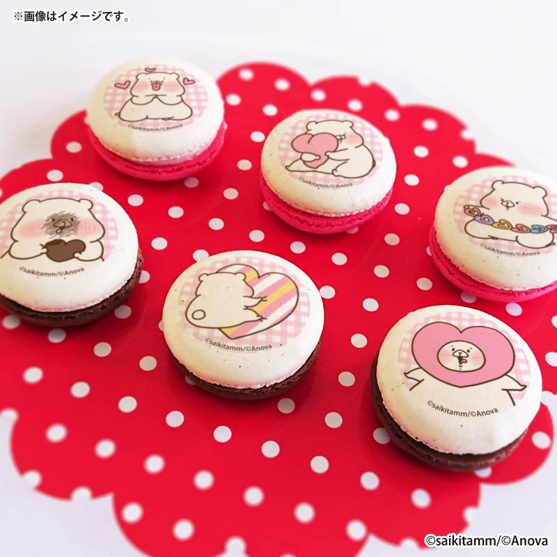 バレンタインプリマカロン6個セット2026【特典缶バッジ付き】[ともだち