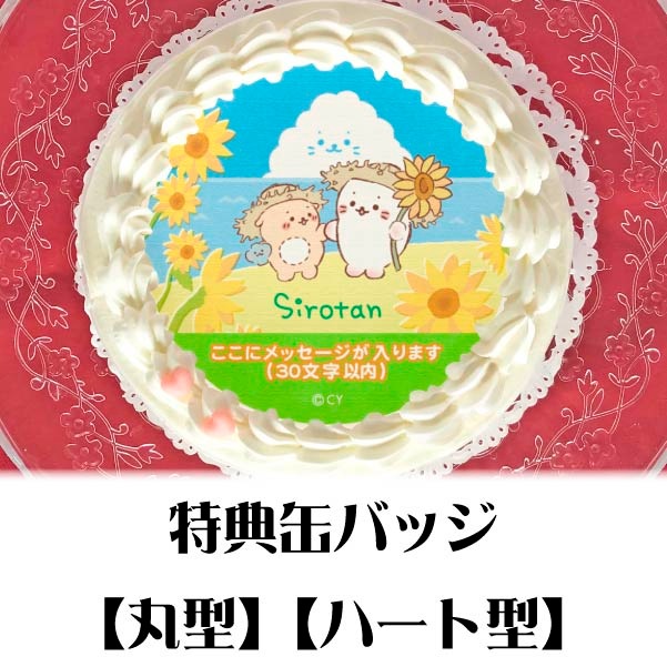 �ڥ�å���������ۥץꥱ�����ʤҤޤ��ˡ���ŵ�̥Хå��դ���[��������]