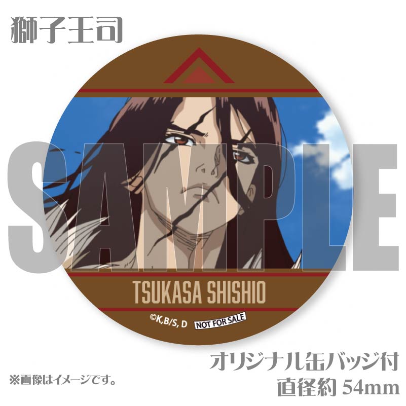 �Х�󥿥���ץꥱ����2025�ʻ�Ҳ��ʡˡ���ŵ�̥Хå��դ���[Dr.STONE]