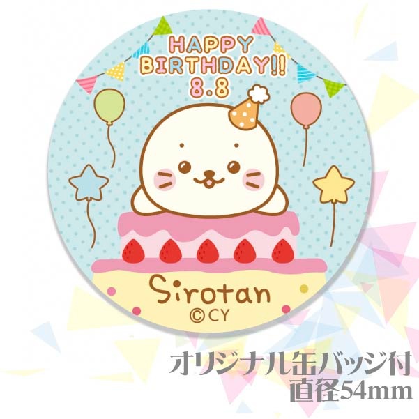 �С����ǡ��ץ�ޥ�����6�ĥ��å�2020�ʤ�������ˡ���ŵ�̥Хå��դ���[��������]