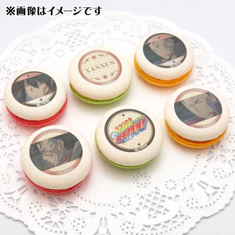 ץޥ6ĥå2025XANXUS(2)ˡŵ̥Хåդ[եҥåȥޥREBORN!]