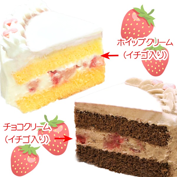 �ڥ�å���������ۥץꥱ�����ʶ彽��ͷ�ϡˡ���ŵ�̥Хå��դ���[ͷ��������ZEXAL]