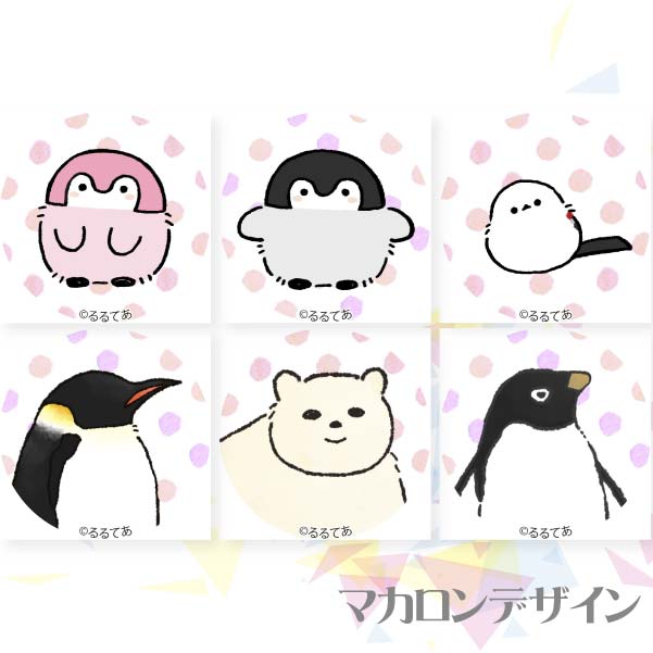 ץޥ6ĥå(F)ŵ̥Хå:ݷ[ڥ]