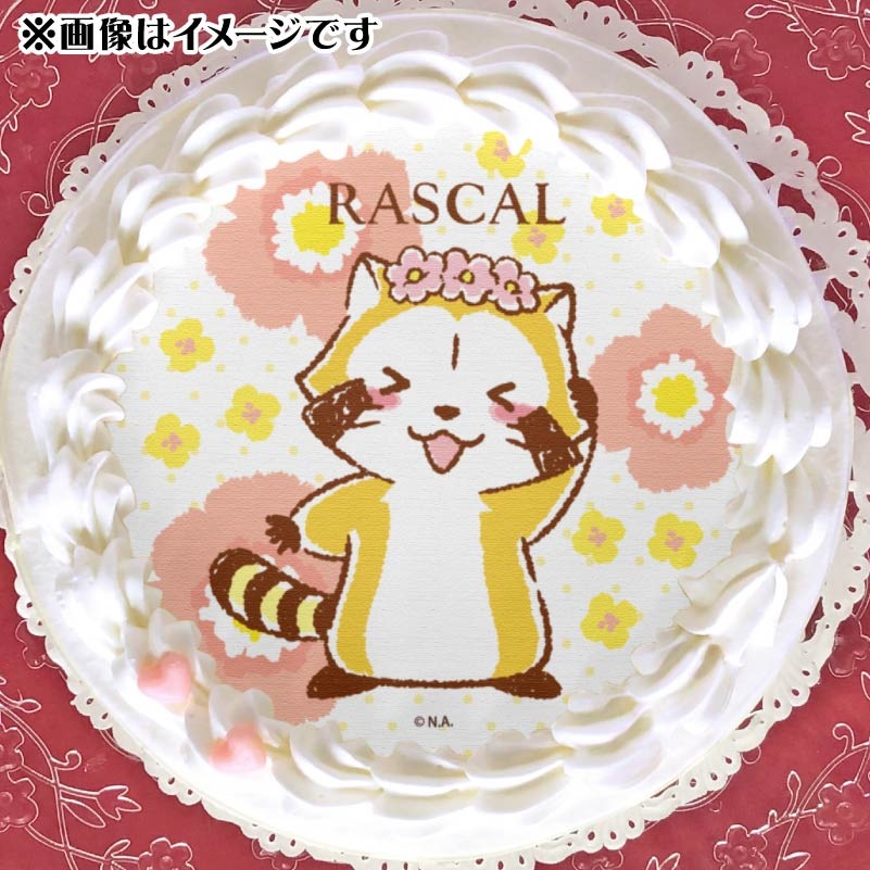 �ץꥱ�����ʲ֤�����ǥ�����ˡ���ŵ�̥Хå��դ���[�饹����]