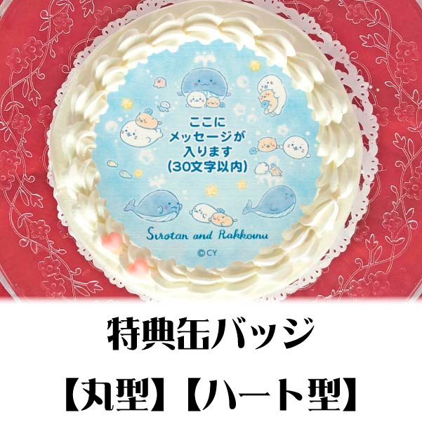 �ڥ�å���������ۥץꥱ��������������(B)�ˡ���ŵ�̥Хå��դ���[��������]