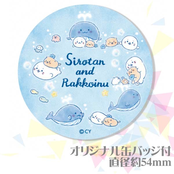 �ڥ�å���������ۥץꥱ��������������(B)�ˡ���ŵ�̥Хå��դ���[��������]