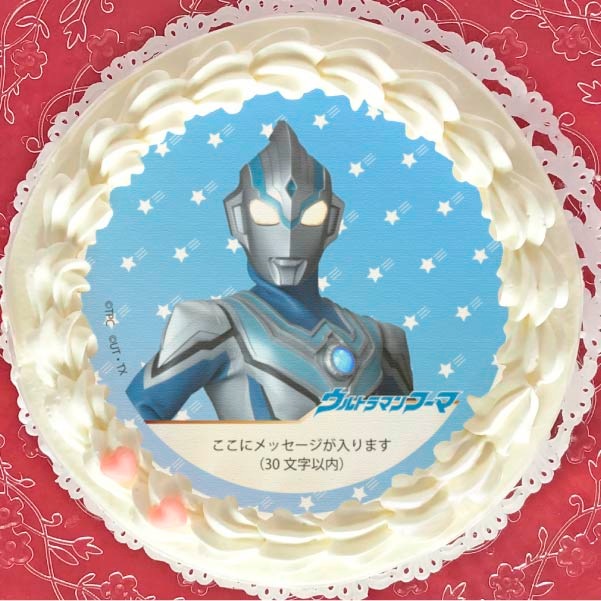 ڥåۥץꥱʥաޡȥޥ󥿥ˡŵ̥Хåդ[ȥޥ󥷥꡼]