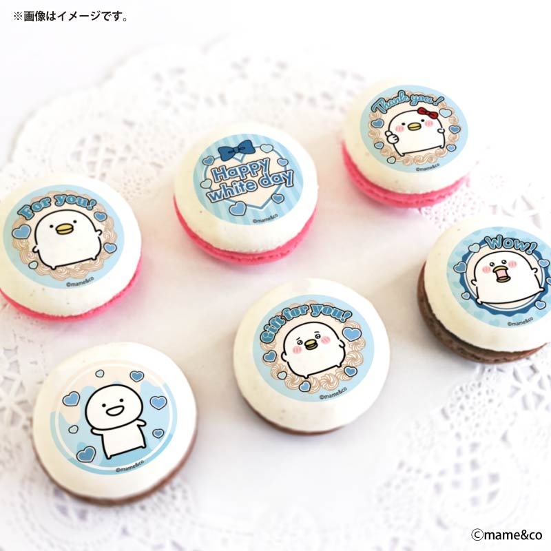 �ۥ磻�ȥǡ��ץ�ޥ�����6�ĥ��å�2026�ʥ饤�ȥ֥롼�ǥ�����ˡ���ŵ�̥Хå��դ���[���뤻���ȥ�]