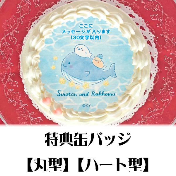 �ڥ�å���������ۥץꥱ��������������(A)�ˡ���ŵ�̥Хå��դ���[��������]