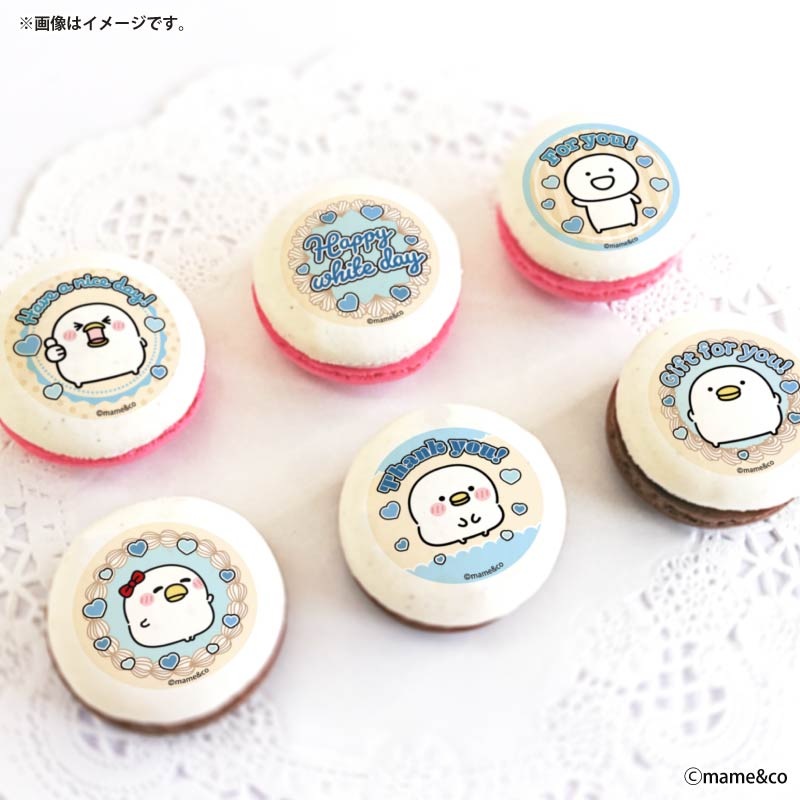 �ۥ磻�ȥǡ��ץ�ޥ�����6�ĥ��å�2026�ʥ����ܥ꡼�ǥ�����ˡ���ŵ�̥Хå��դ���[���뤻���ȥ�]