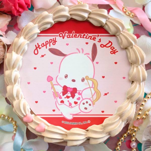 �Х�󥿥���ץꥱ����2023����ŵ�̥Хå��դ���[�ݥ���å�]