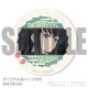 �ڥ�å���������ۥץꥱ����2026�ʻ�Ʃ̵��Ϻ�ˡ���ŵ�̥Хå��դ���[���Ǥο�]