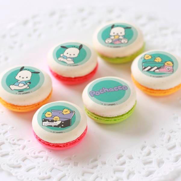 �ץ�ޥ�����6�ĥ��åȡʥ����������֥�ǥ��ˡ���ŵ�̥Хå��դ���[�ݥ���å�]