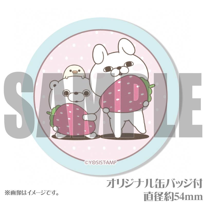 �ۥ磻�ȥǡ��ץ�ޥ�����6�ĥ��å�2025�ʤ�������������ޤ���ˡ���ŵ�̥Хå��դ���[��å����������]