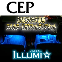 �ץꥦ��30������ �ץ�ߥ��� LED�եåȥ��ץ��å�