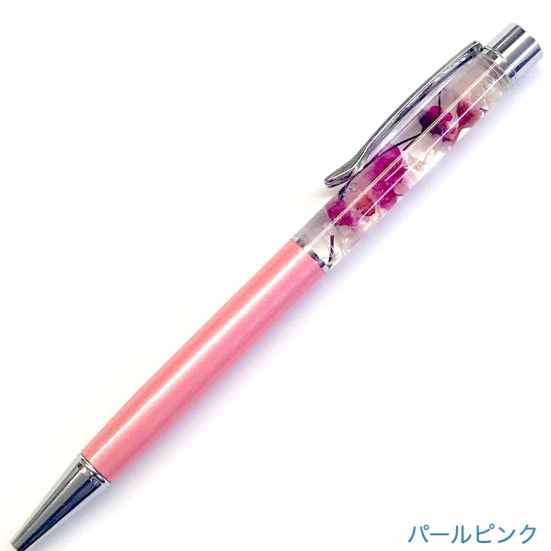 B-29303���ϡ��Хꥦ��ܡ���ڥ��10�ܥѥå��ˡ��ѡ���ԥ�