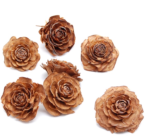 CR-30208�������������إåɡ��ʥ�����