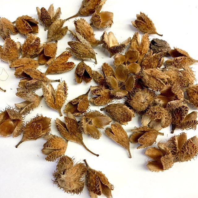 24380-000���֥ʤμ¡��ʥ�����ڎ����ێ��޷Ǻܳ���