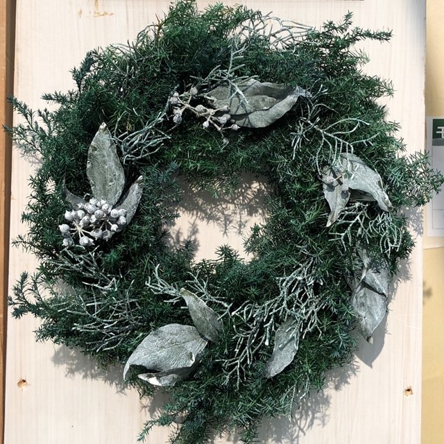 01320-700／ヒムロスギ／グリーン | ドライフラワー／プリザーブド