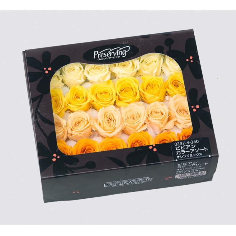 F8 プリザーブドフラワー まとめ売り 大地農園 ビビアン 花材 キット