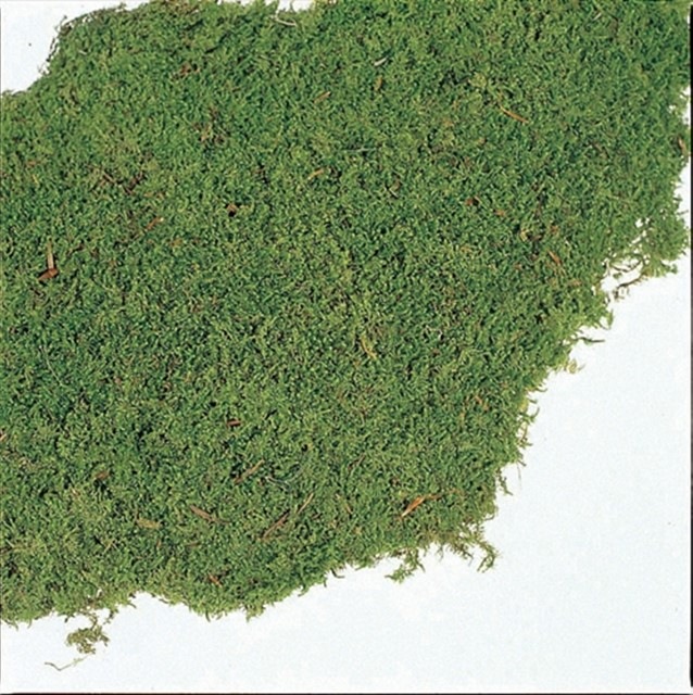 61092-700／シートモス・大／グリーン（次回生産：1月中旬） | ドライ