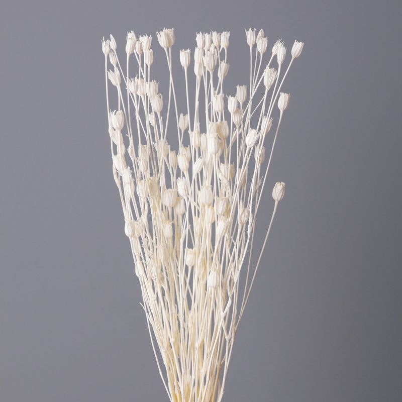 50510-011եƥʡʼ11ܡ