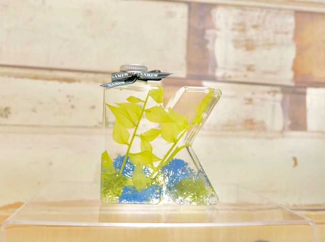 ��ñ�����佪λ��B-29378��NAMEW���ϡ��Хꥦ���ѥ��˥����ܥȥ��K��