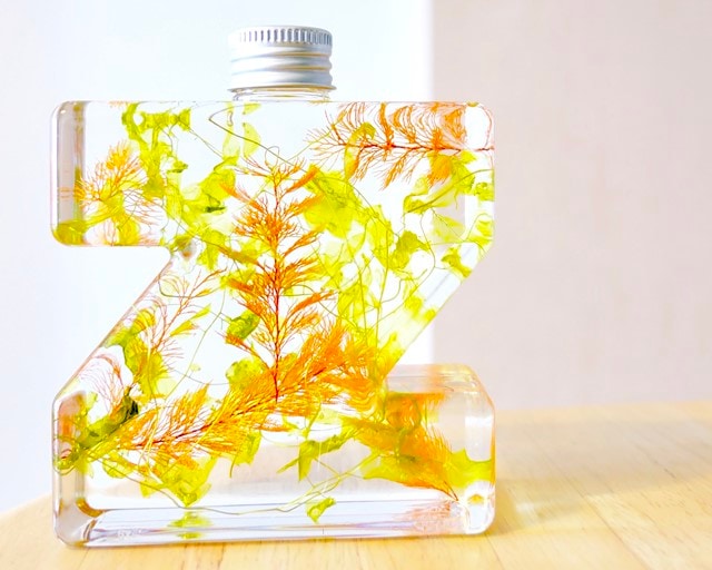 �����ڤꎾ���١�B-29393��NAMEW���ϡ��Хꥦ���ѥ��˥����ܥȥ��Z��