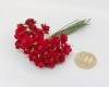 R10052-320���Х��å�������15mm����åɡ�12�����ˡڵ�B-1795-320��