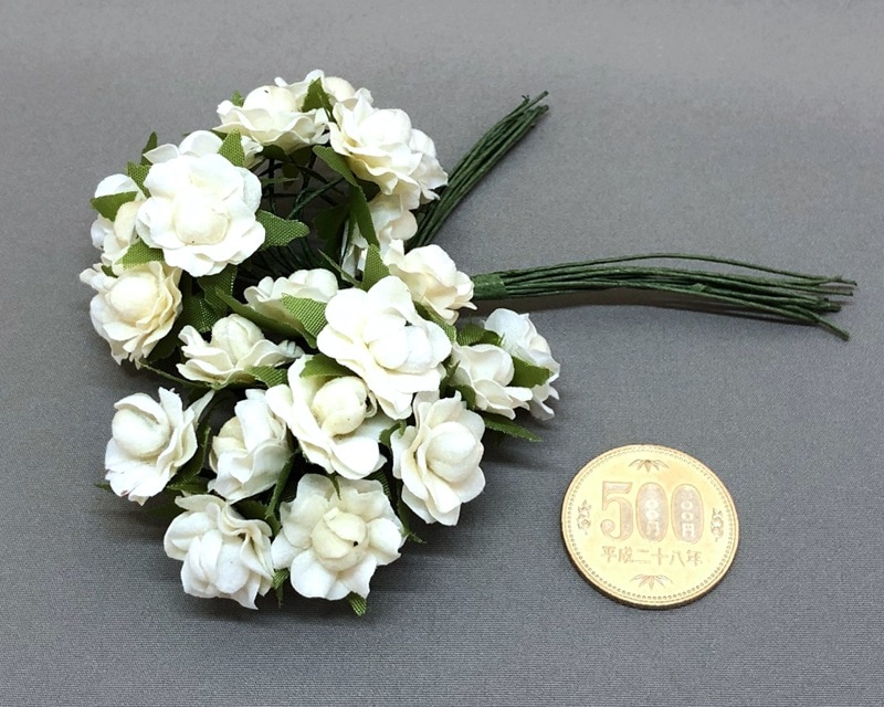 R10055-124���Х��å�������20mm��12�����ˡ������ѥ�ڵ�B-1796-124��