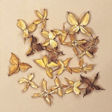 24400-000���勵���顿N