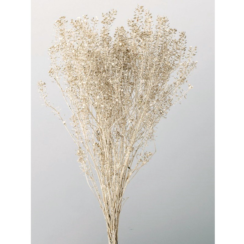 �ڎ̎ߎ������١�04050-932���ڥƥ��������ȡ��ץ����