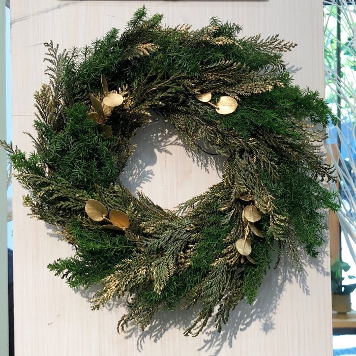 01322-780／ヒムロスギ／フォレストグリーン | ドライフラワー