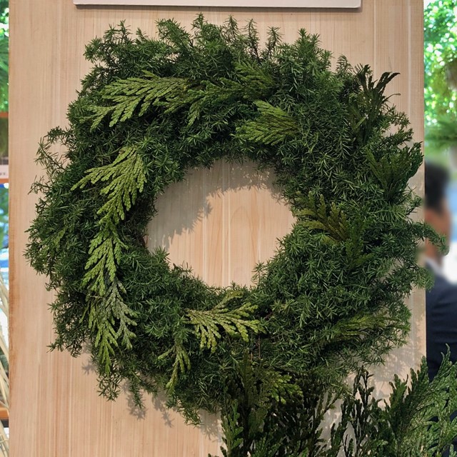 01322-780／ヒムロスギ／フォレストグリーン | ドライフラワー