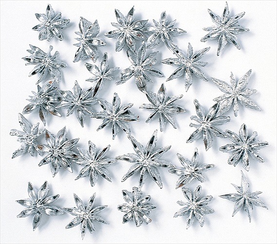 21020-912／スターアニス／シルバー | ドライフラワー／プリザーブド