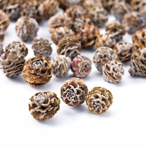 �����֡�24310-000���ȡ������������N