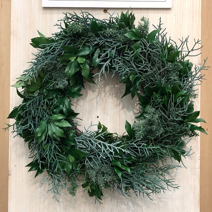 03790-700／アセビ／グリーン | すべての商品 | プロフローラ