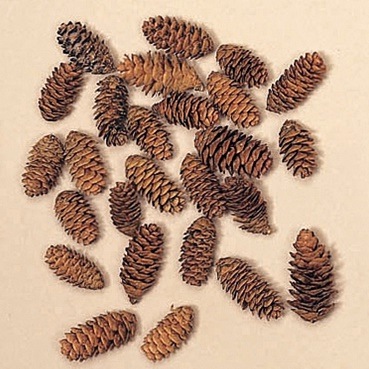 �����֡�24180-000����������N