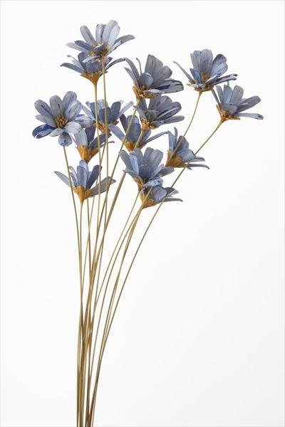 32140-620／プチフラワー／ベビーブルー | ドライフラワー 