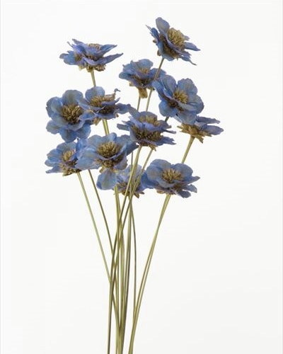 32360-410／アネモネフラワー／ラベンダー | ドライフラワー