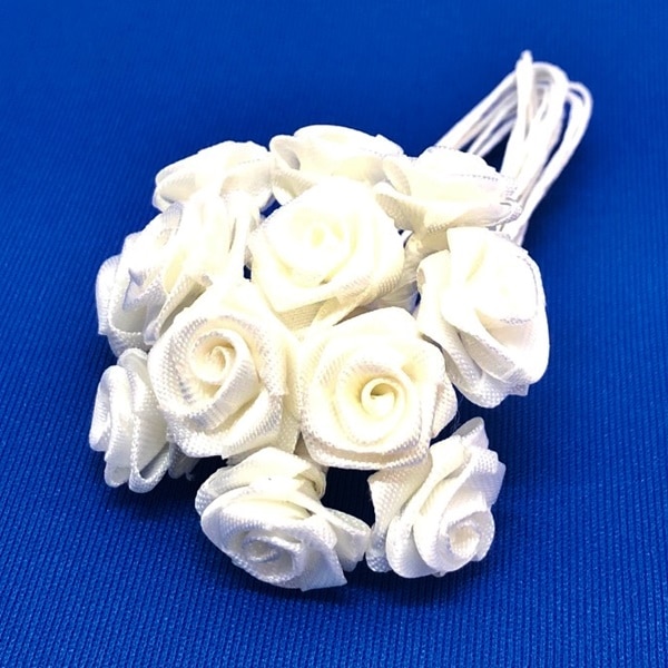 R10032-124����ܥ���������12�����ˡ������ѥ�