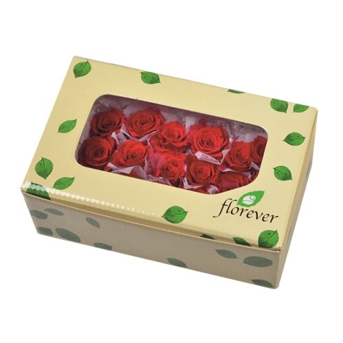 新品　ピッコラブロッサムローズ　ベイビーピンク　フロールエバー : フロールエバー ピッコラブロッサムローズ