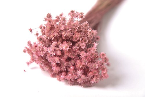 FLDR0014-970���ޥ륻�顦�ɥ饤���饤�ȥԥ�