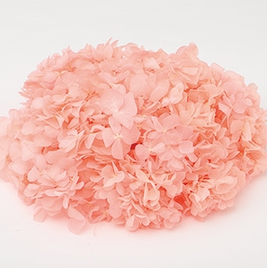 TK-64165�����եȤ����������顿�ץ쥷�㥹�ԥ�