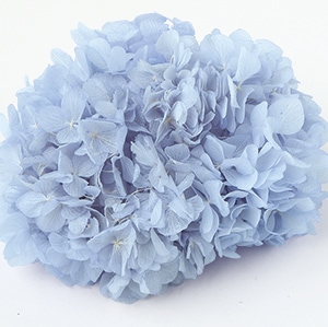 TK-64167�����եȤ����������顿�٥ӡ��֥롼